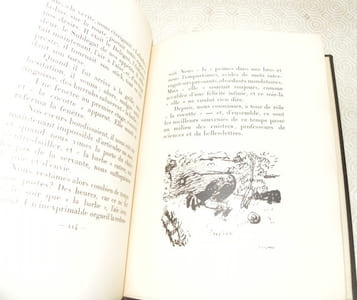 Suite provinciale avec 92 dessins inédits de Marc Chagall.