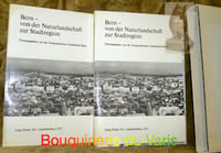 Bern- von der Naturlandschaft zur Stadtregion. Hrsg. von der Geographischen Gesellschaft Bern zum Anlass ihres hundertjährigen Bestehens.