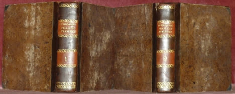 Nouveau Dictionnaire Portatif François-Italien et Italien-François  rédigé d'après les Dictionnaires d'Alberti, de Bottarelli, de Baretti, et des ...