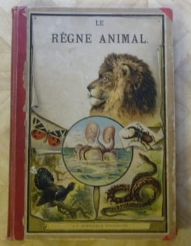 Histoire naturelle. 90 Planches coloriées d’après nature et accompagnées d’un texte explicatif en français. Ouvrage spécialement destiné à ...