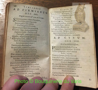 Poesis Lyrica. Qua continentur Lyricorum Libri IV. et Epodon Liber Unus.. AVANCINI, Nicolai Societate Jesu.