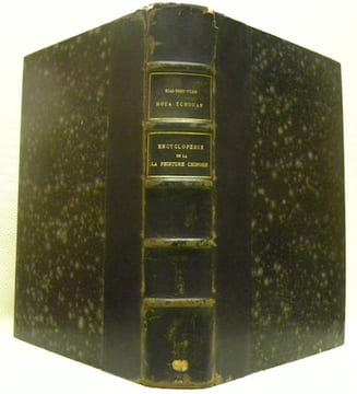 Les Enseignements de la Peinture du Jardin grand comme un Grain de Moutarde. Encyclopédie de la Peinture Chinoise. Traduction et commentaires par ...