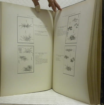 Les Enseignements de la Peinture du Jardin grand comme un Grain de Moutarde. Encyclopédie de la Peinture Chinoise. Traduction et commentaires par ...