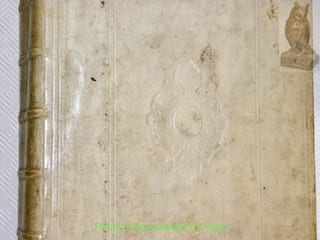 Aristophanis Comoediae Undecim, Graece et Latine, ex Codd. Mss. emendatae : cum Scholiis Antiquis, inter quae Scholia in Lysistratam ex Cod. Vossiano ...