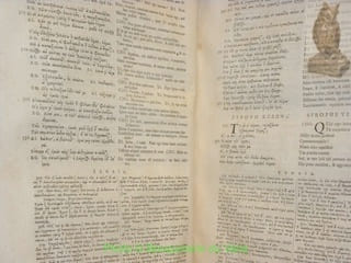 Aristophanis Comoediae Undecim, Graece et Latine, ex Codd. Mss. emendatae : cum Scholiis Antiquis, inter quae Scholia in Lysistratam ex Cod. Vossiano ...