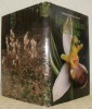 Les orchidées de Suisse.. DANESCH, Edeltraud (Texte). - DANESCH, Othmar (Photos).