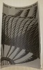Xylon 37. Bruno Gentinetta: Seile.. 