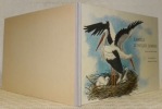 Famille Longues Jambes. Histoire d’une famille de cigognes. Texte Hedwige Kasser. Illustrations Pia Roschardt.. KASSER, Hedwige (texte). - ROSHARDT, ...
