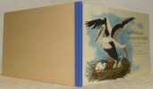 La famille Longuejambe. L’histoire d’une famille de cigognes. Illustrations par Pia Roschardt.. KASSER, Hedwige. - ROSHARDT, Pia (illustrations).