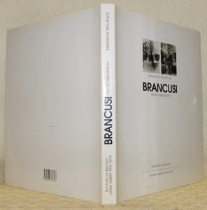 Brancusi. Photo reflexion.
