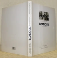 Brancusi. Photo reflexion.