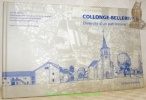 Collonge-Bellerive. Diversité d’un patrimoine. Collection Architecture et site genevois IV.. 