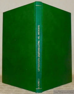 Letteratura cristiano-latina nel medioevo.