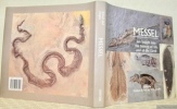 Messel. An insight into the history of life and of the Earth.. Schaal, stephan. - Ziegler, Willi (Edited).