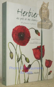 Herbier des près et des chemins.