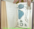 Musée Fol. Catalogue descriptif. Antiquités. Première partie: Céramique et plastique. Deuxième partie: Glyptique et verrerie par W. Fol. Tome I et ...