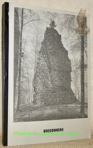 Le château et le bourg de Bossonnens au moyen âge. Etude documentaire.