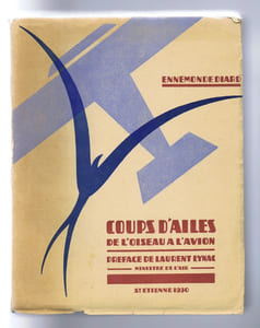 COUPS D'AILES DE L'OISEAU À L'AVION