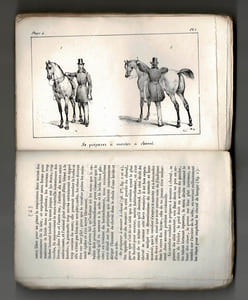 MANUEL D'ÉQUITATION À L'USAGE DES DEUX SEXES