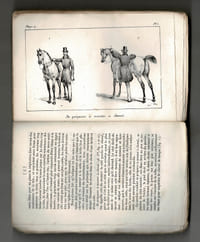 MANUEL D'ÉQUITATION À L'USAGE DES DEUX SEXES