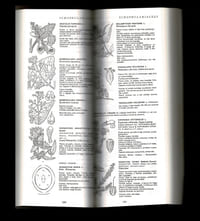 FLORE DU DOMAINE ATLANTIQUE DU SUD-OUEST DE LA FRANCE ET DES RÉGIONS DE PLAINE. Identification et description des espèces indigènes et cultivées les plus communes - Initiation à la botanique - Généralités sur les grandes familles - Lexique - Applications pratiques - Iconographie - Bibliographie - Index étymologique.
