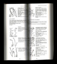 FLORE DU DOMAINE ATLANTIQUE DU SUD-OUEST DE LA FRANCE ET DES RÉGIONS DE PLAINE. Identification et description des espèces indigènes et cultivées les plus communes - Initiation à la botanique - Généralités sur les grandes familles - Lexique - Applications pratiques - Iconographie - Bibliographie - Index étymologique.
