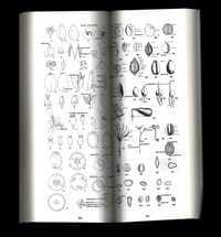 FLORE DU DOMAINE ATLANTIQUE DU SUD-OUEST DE LA FRANCE ET DES RÉGIONS DE PLAINE. Identification et description des espèces indigènes et cultivées les plus communes - Initiation à la botanique - Généralités sur les grandes familles - Lexique - Applications pratiques - Iconographie - Bibliographie - Index étymologique.
