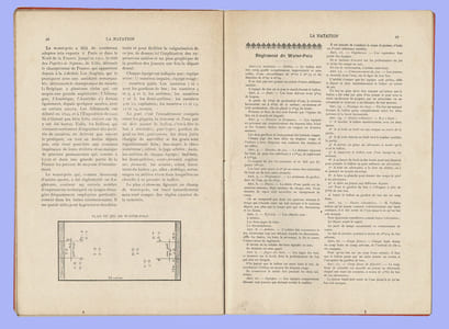 LA NATATION
Principaux articles : L'art de nager - Les diverses méthodes de nager - Les productions et jeux nautique - Le jeu du water-Polo.