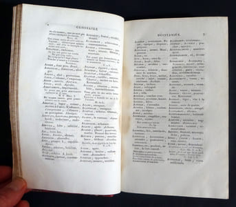 ESSAI D'UN GLOSSAIRE OCCITANIEN POUR SERVIR À L'INTELLIGENCE DES POÉSIES DES TROUBADOURS