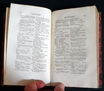 ESSAI D'UN GLOSSAIRE OCCITANIEN POUR SERVIR À L'INTELLIGENCE DES POÉSIES DES TROUBADOURS
. [ ROCHEGUDE Henri Pascal, de ]