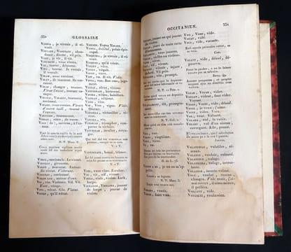 ESSAI D'UN GLOSSAIRE OCCITANIEN POUR SERVIR À L'INTELLIGENCE DES POÉSIES DES TROUBADOURS
. [ ROCHEGUDE Henri Pascal, de ]