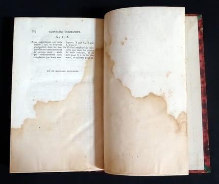 ESSAI D'UN GLOSSAIRE OCCITANIEN POUR SERVIR À L'INTELLIGENCE DES POÉSIES DES TROUBADOURS
. [ ROCHEGUDE Henri Pascal, de ]