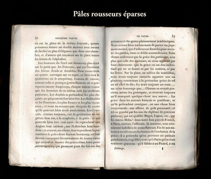 PATINAGE ET RÉCRÉATIONS SUR LA GLACE. PAULIN-DESORMEAUX A. O.