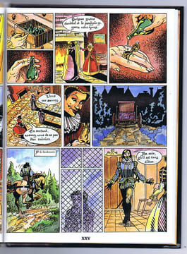 DE L'ANIS AUX ANYSETIERS. PIERIBATTESTI Sylviane, Scénario-graphisme et GIRAUD Olivier, dessins. Préface de MORABIN Armand