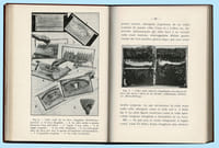 MANUALE ILLUSTRATO DI ALLEVAMENTO DELLE API REGINE PER USO PROPRIO E COMMERCIALE ( Manuel illustré d'élevage des reines )