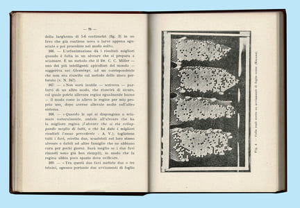 MANUALE ILLUSTRATO DI ALLEVAMENTO DELLE API REGINE PER USO PROPRIO E COMMERCIALE ( Manuel illustré d'élevage des reines )