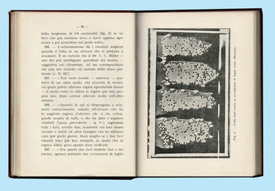 MANUALE ILLUSTRATO DI ALLEVAMENTO DELLE API REGINE PER USO PROPRIO E COMMERCIALE ( Manuel illustré d'élevage des reines )
