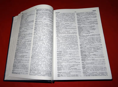NOUVEAU DICTIONNAIRE FRANÇAIS - CHINOIS.