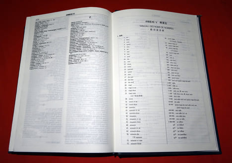 NOUVEAU DICTIONNAIRE FRANÇAIS - CHINOIS.. ZHANG YIN DE