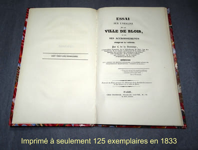 ESSAI SUR L'ORIGINE DE LA VILLE DE BLOIS ET SUR SES ACCROISSEMENTS JUSQU'AU Xe SIÈCLE