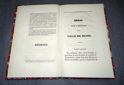 ESSAI SUR L'ORIGINE DE LA VILLE DE BLOIS ET SUR SES ACCROISSEMENTS JUSQU'AU Xe SIÈCLE