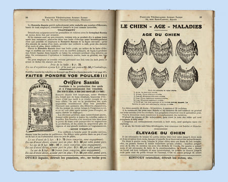Catalogue 1937 de La Fabrique spéciale de PRODUITS VÉTÉRINAIRES Adrien Sassin, à Orléans et à Alger.
. SASSIN Adrien.