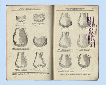 Catalogue 1937 de La Fabrique spéciale de PRODUITS VÉTÉRINAIRES Adrien Sassin, à Orléans et à Alger.
. SASSIN Adrien.