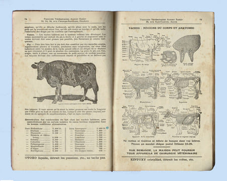 Catalogue 1937 de La Fabrique spéciale de PRODUITS VÉTÉRINAIRES Adrien Sassin, à Orléans et à Alger.
. SASSIN Adrien.