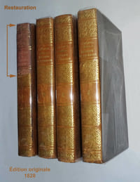 HISTOIRE DE TOURAINE
depuis la Conquête des Gaules par les Romains, jusqu'à l'année 1790
suivie du Dictionnaire biographique de tous les hommes célèbres nés dans cette province