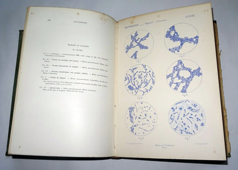 MICROSCOPIE CLINIQUE
. M. DEGUY & A. GUILLAUMIN