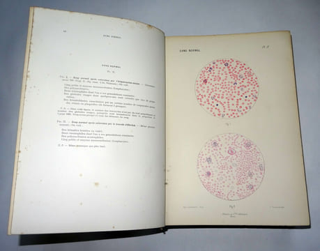 MICROSCOPIE CLINIQUE
. M. DEGUY & A. GUILLAUMIN
