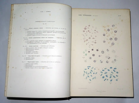 MICROSCOPIE CLINIQUE
. M. DEGUY & A. GUILLAUMIN