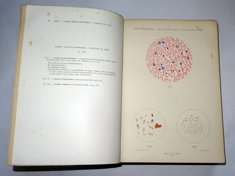 MICROSCOPIE CLINIQUE
. M. DEGUY & A. GUILLAUMIN