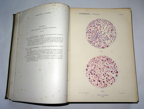 MICROSCOPIE CLINIQUE
. M. DEGUY & A. GUILLAUMIN